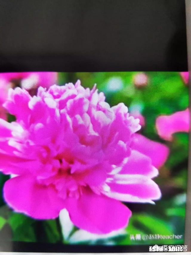 当今的哪首流行歌曲，让你觉得最洗脑