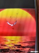 当今的哪首流行歌曲，让你觉得最洗脑