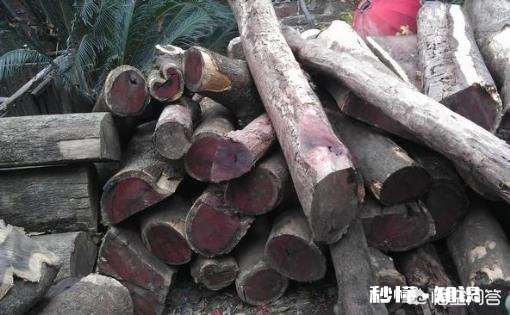 小叶紫檀如何选料看料呢