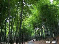 你觉得我们是活在别人的标准之下还是活在大家的共同制定的标准之下