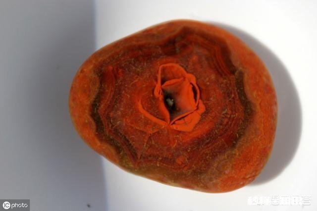 碰到别人就说靠运气、抱大腿获得一切，自己就是实力派纯粹靠自身，这是什么心态