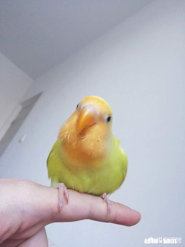 你怎么看待生活中有一点不如意就找你诉苦的朋友该怎样对待这样的人