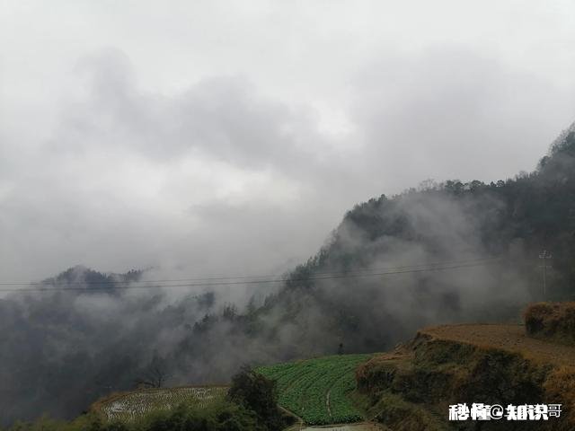 谁能告诉我亲情是什么，被自己家人在乎，关心是什么感觉