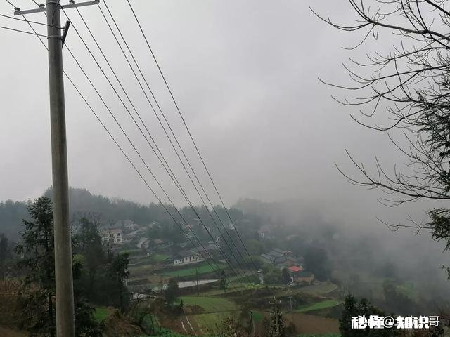 谁能告诉我亲情是什么，被自己家人在乎，关心是什么感觉