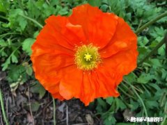 谁能告诉我亲情是什么，被自己家人在乎，关心是什么感觉