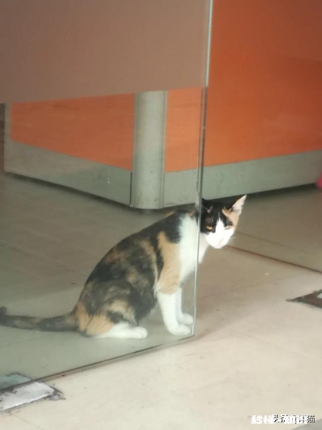 三观不合的友情应不应该继续