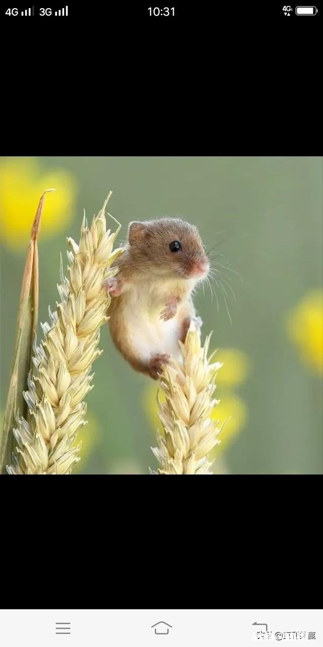 你觉得一天当中哪个时间段最无聊，哪个时间段最温馨