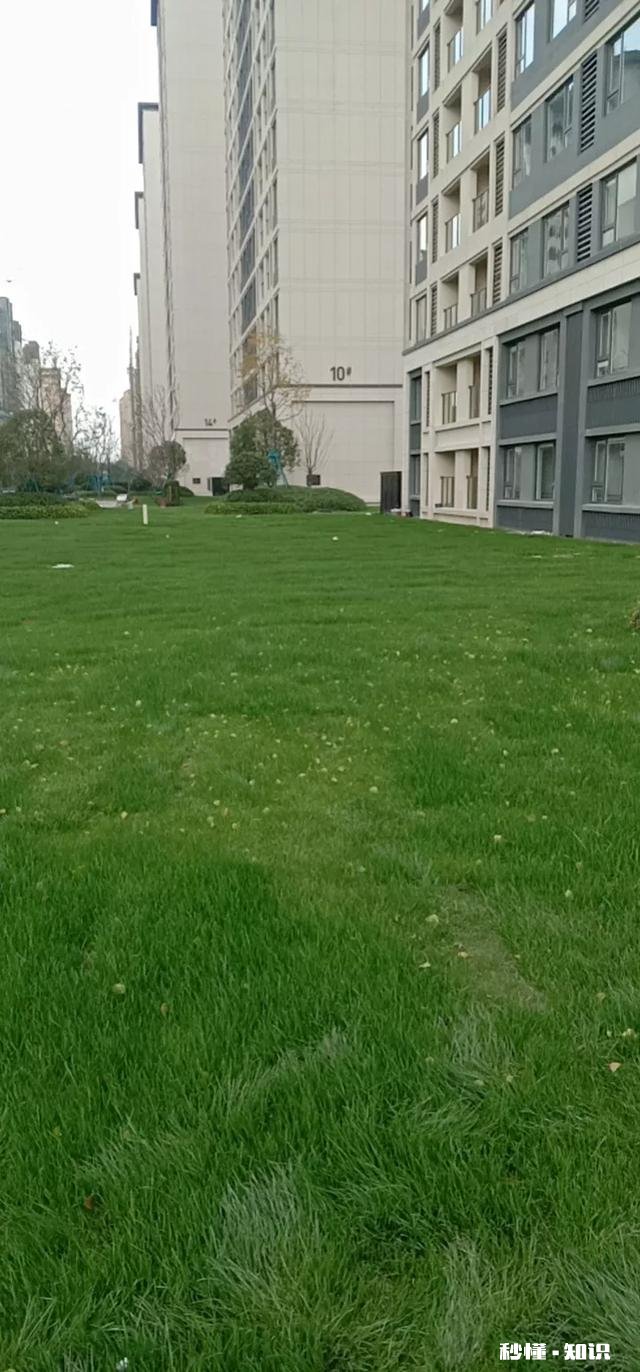 阿根廷和德国还能出线吗