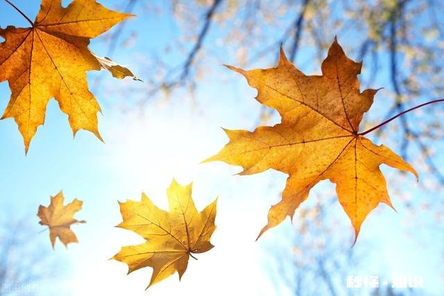 马上要离婚了，怎么跟孩子说