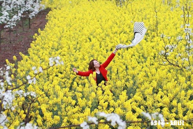 如果让你说一下20-30岁这10年，你想说点什么