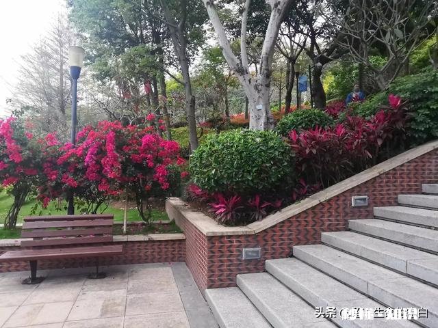 疫情期间吃光了冰柜，现在你想装上什么