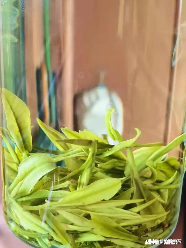 翡翠行业现在是处于什么状态