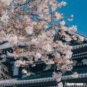 接受表白后，第二天超级后悔怎么办