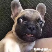 今年六一你给孩子准备的什么礼物