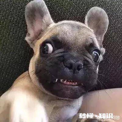 今年六一你给孩子准备的什么礼物