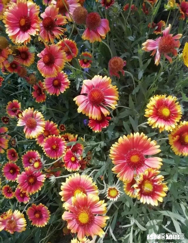 有人说年少无知幸不幸福，你怎么看