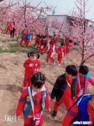 有人说年少无知幸不幸福，你怎么看