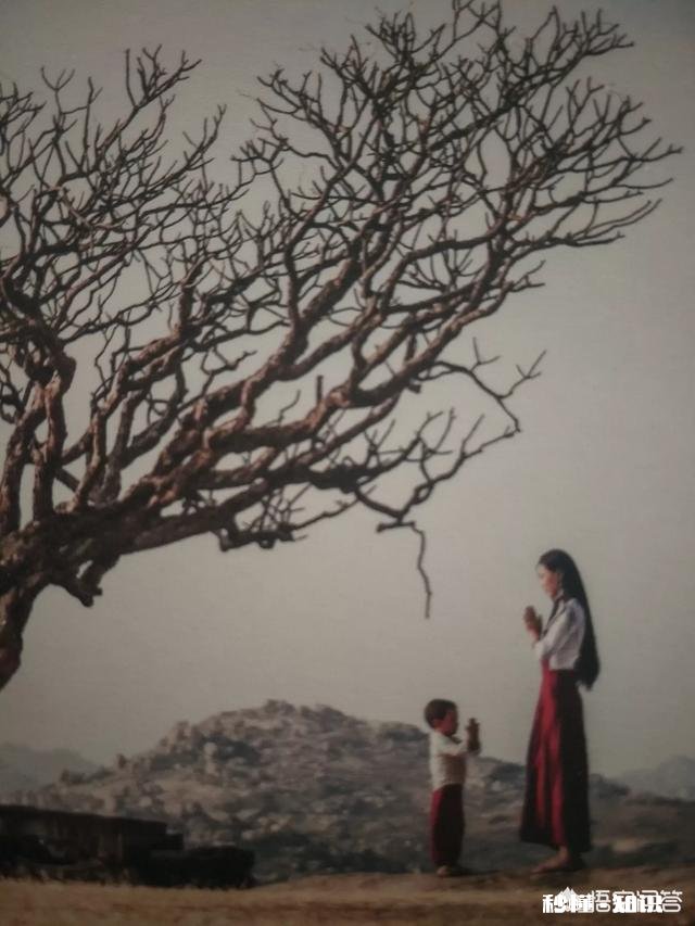 感恩节，你最想感谢的人和你想对他说的话有哪些