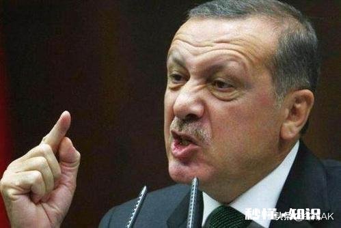 叙利亚的战争，土耳其阻挠是什么目的?战事扩大化对于土耳其有什么好处