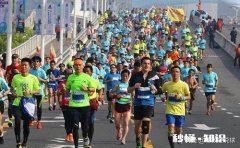 大家说，是傻了吧唧的人，活着美。还是聪明智慧的人，活着美