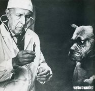 癌症晚期太痛苦了，为什么不能安乐死我支持安乐死合法化