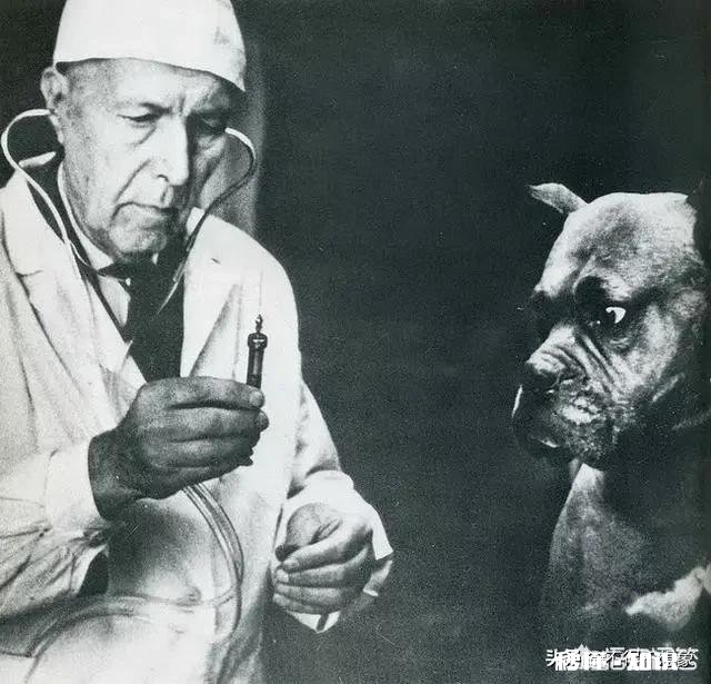 癌症晚期太痛苦了，为什么不能安乐死我支持安乐死合法化