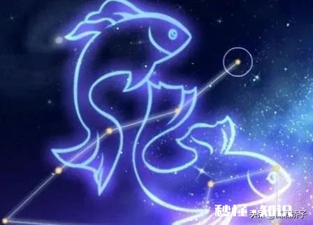 请描述下你最不能忍受的双鱼男的缺点