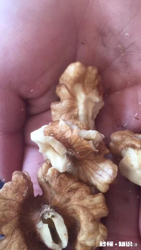 一些人做什么都装，他们不觉得累吗