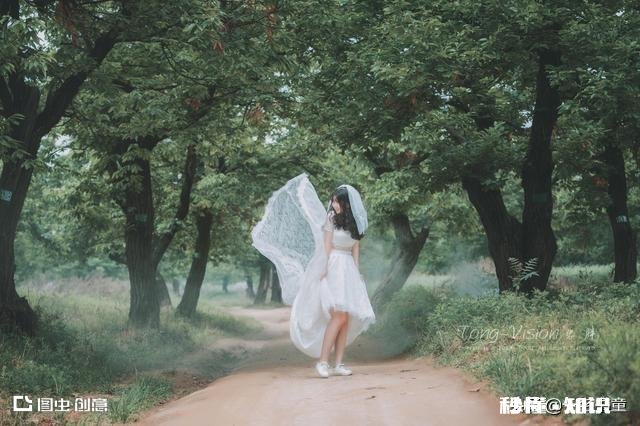 举行过婚礼，但是没有领证，同居4年分开了，是不是也算离婚了