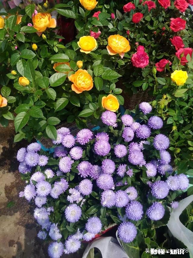 没钱，能过得开心吗