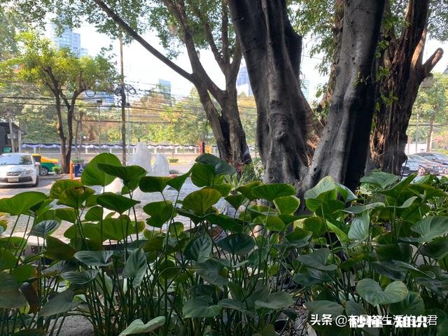 在工作中什么话该说什么话不该说，或者什么话少说