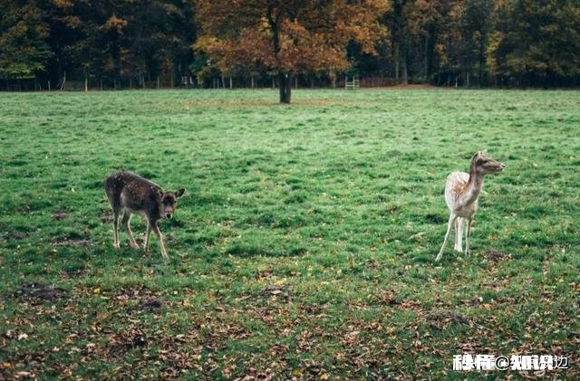 在工作中什么话该说什么话不该说，或者什么话少说