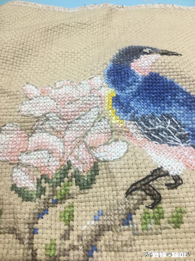 十字绣勾边在哪开始勾比较好