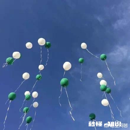 你哭的很惨的那个晚上都放下了什么