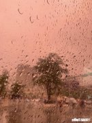 你哭的很惨的那个晚上都放下了什么