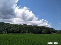 乡村医生有发展空间吗