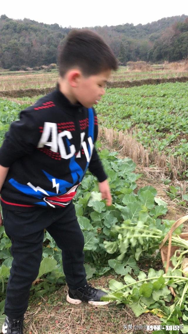 怎么画寒假生活绘画绘本