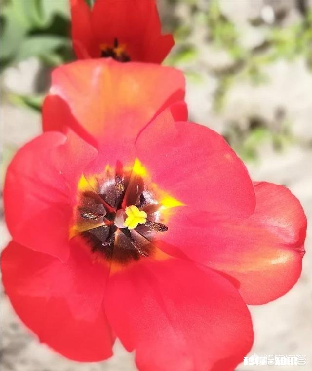 宝妈坐月子,怎样控制情绪对身体好