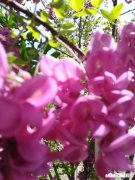 宝妈坐月子,怎样控制情绪对身体好