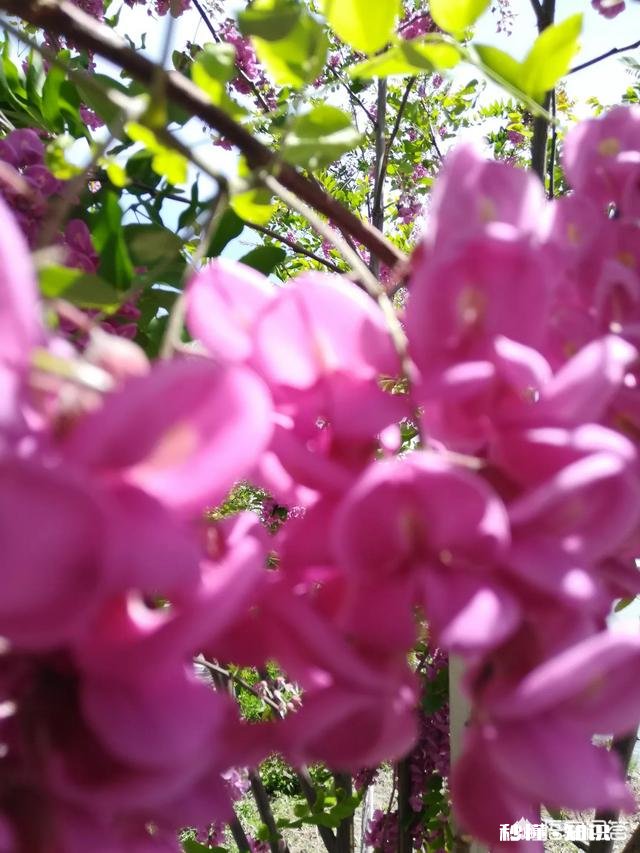 宝妈坐月子,怎样控制情绪对身体好