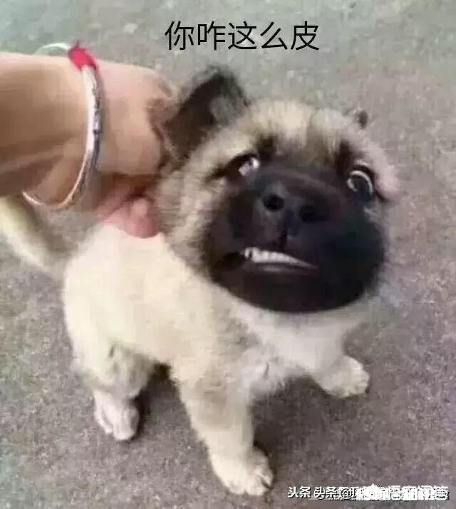 另一半惹你生气了,你会反锁房门吗