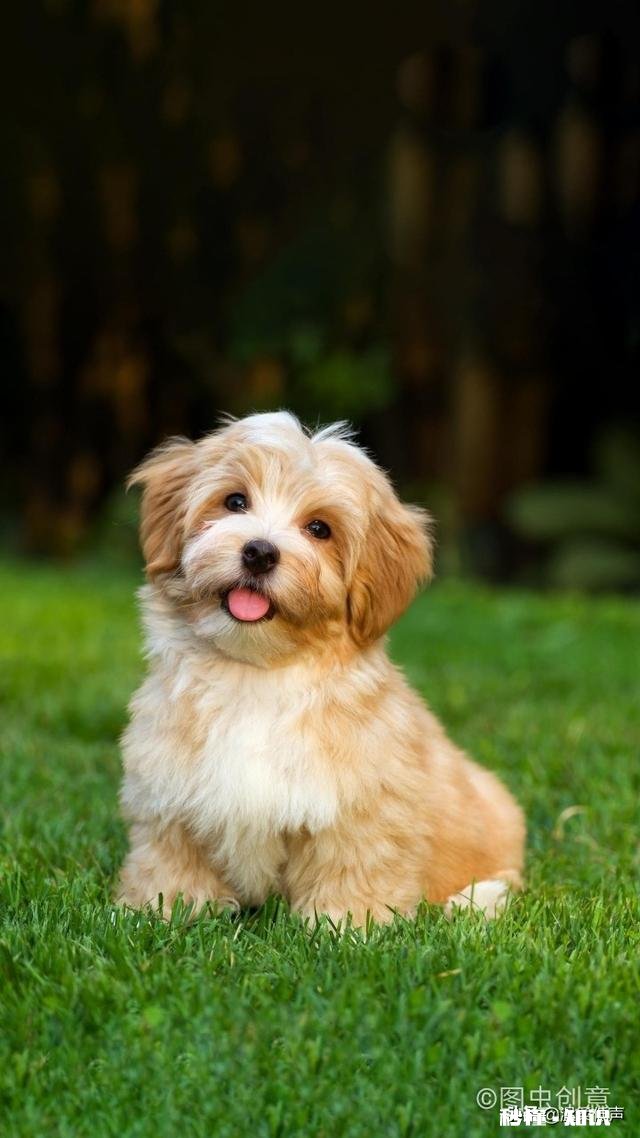 另一半惹你生气了,你会反锁房门吗