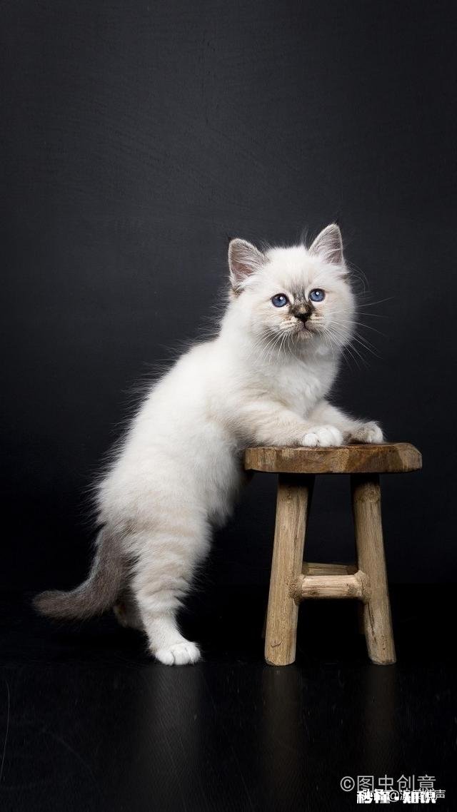 另一半惹你生气了,你会反锁房门吗