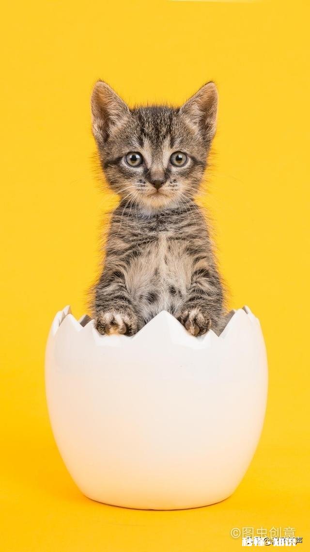 另一半惹你生气了,你会反锁房门吗