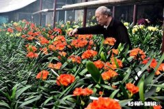 有人说“社会本纯洁，只是人性太复杂”，你觉得为啥有些人愿意放弃月入几万的工作，去干