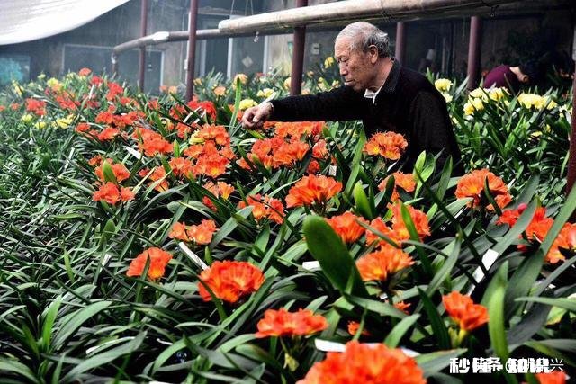 有人说“社会本纯洁,只是人性太复杂”,你觉得为啥有些人愿意放弃月入几万的工作,去干月入几千的工作