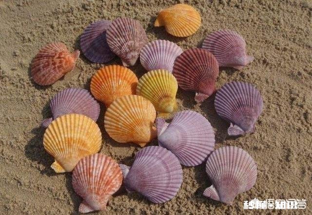 金属货币、纸币、金银纪念币、纪念钞、纸币、电子货币的区别在哪