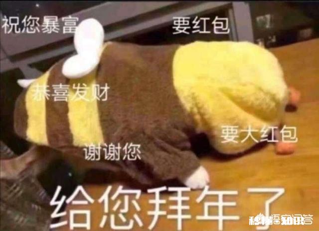 现在过年让人感到好疲惫,如果让你选,你会选什么样的过年方式