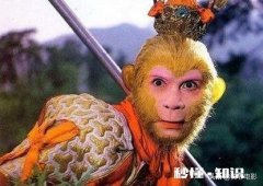 你更愿意让孙悟空成为斗战胜佛，还是齐天大圣为什么