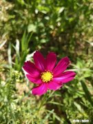 你的另一半出轨了，你会不会自甘堕落一样去出轨